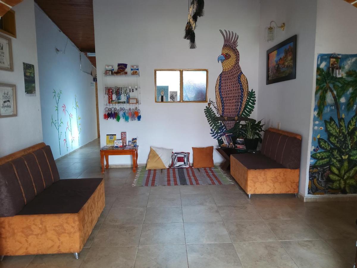 Artesanos Y Turistas Apartment Guatape Exterior photo